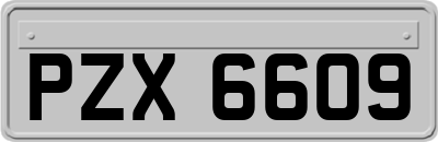 PZX6609