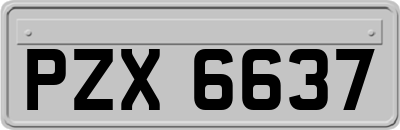 PZX6637