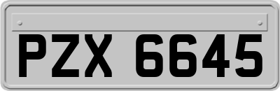 PZX6645