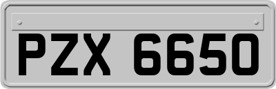 PZX6650