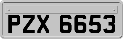 PZX6653