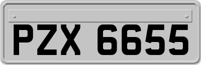 PZX6655