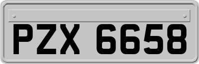 PZX6658