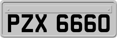 PZX6660