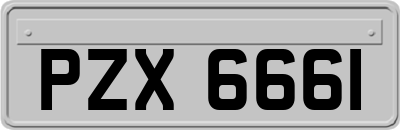 PZX6661