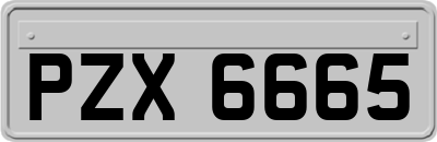 PZX6665