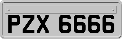 PZX6666