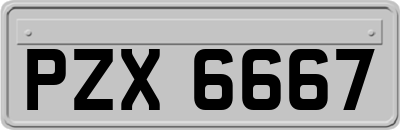 PZX6667