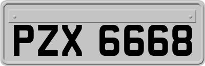 PZX6668