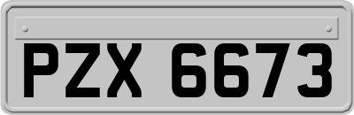PZX6673