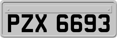 PZX6693