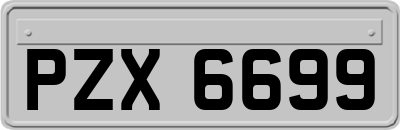 PZX6699
