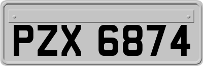 PZX6874