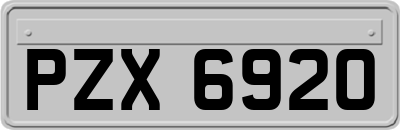 PZX6920