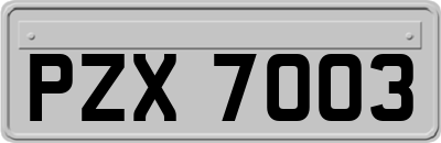 PZX7003