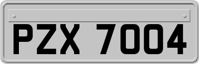PZX7004