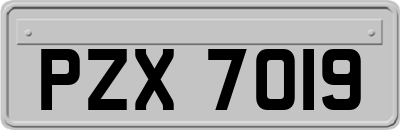 PZX7019