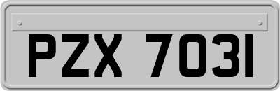 PZX7031
