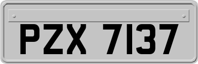 PZX7137