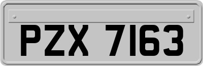 PZX7163