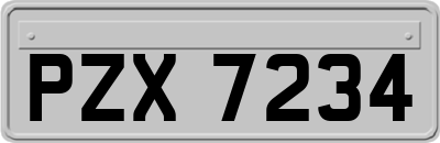 PZX7234