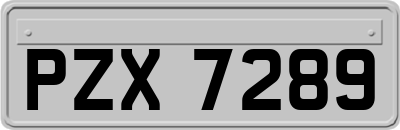 PZX7289