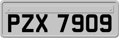 PZX7909