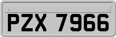PZX7966