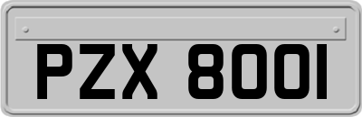 PZX8001