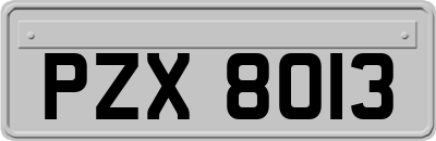 PZX8013