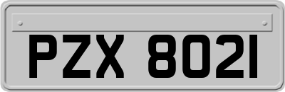 PZX8021