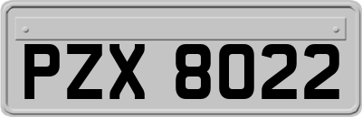 PZX8022