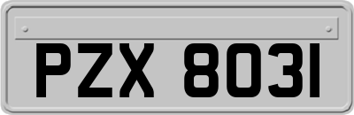 PZX8031