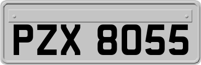 PZX8055