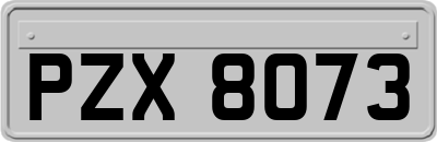 PZX8073