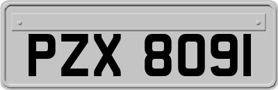 PZX8091