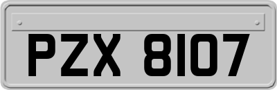 PZX8107