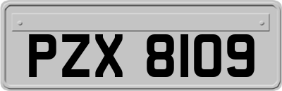 PZX8109