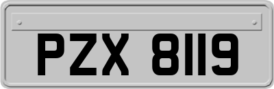 PZX8119