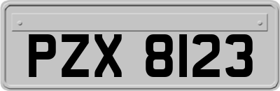 PZX8123