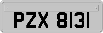 PZX8131