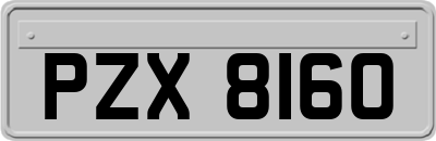 PZX8160