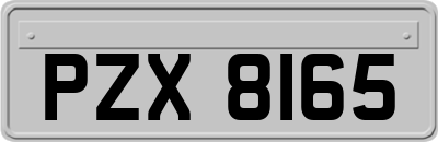 PZX8165