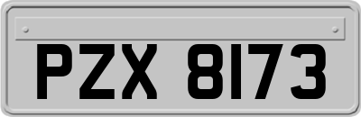 PZX8173