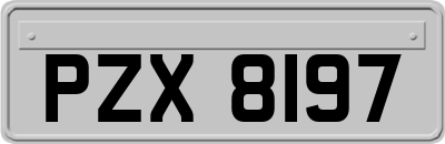 PZX8197