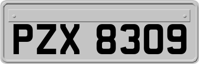 PZX8309