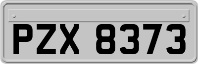 PZX8373