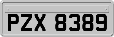 PZX8389