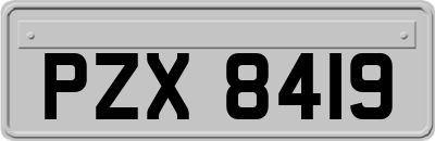 PZX8419