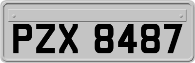 PZX8487